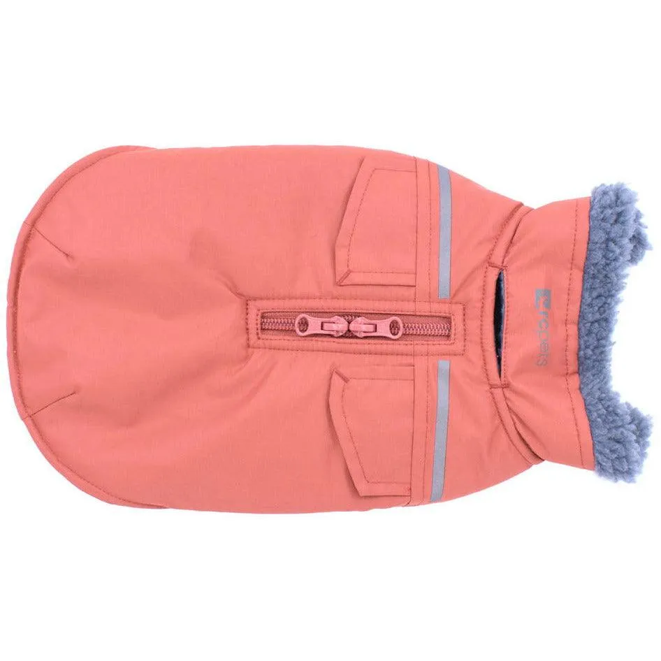 RC Dog Coat District Parka Clay